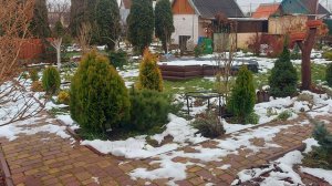 Дача в начале зимы.❄️.Начала посев семян цветов на рассаду🌸