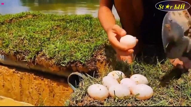 Китайцы ловят рыбу с помощью канализационных труб