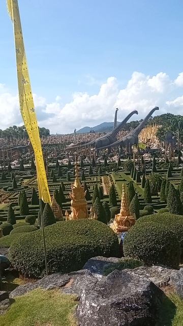 Где в Нонг Нуч снимают 90% фото? (Подсказка: не орхидеи) смотреть онлайн