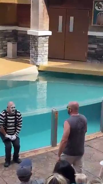 Том в роли мима из Seaworld смотреть онлайн