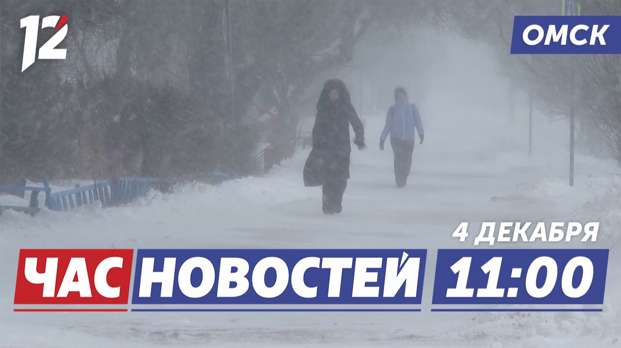 Гололёд и метель / Платные парковки / Стая собак попала в ловушку. Новости Омска смотреть онлайн
