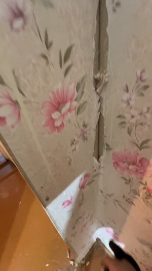 Ремонт в семейном доме день 4.