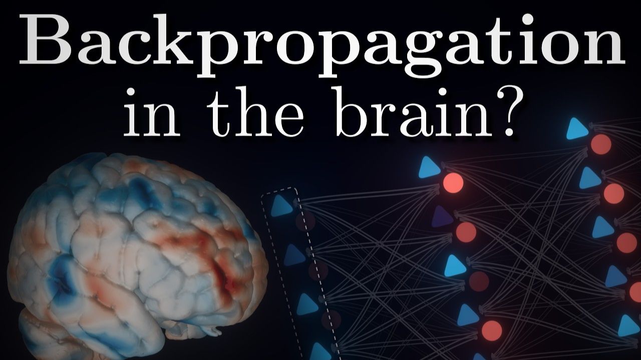 Алгоритм Обучения Биологических Сетей смотреть онлайн