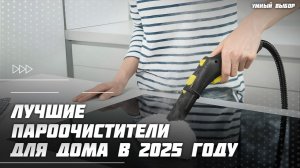 Топ-5 пароочистителей для дома в 2025 году — рейтинг надёжных помощников для всего дома
