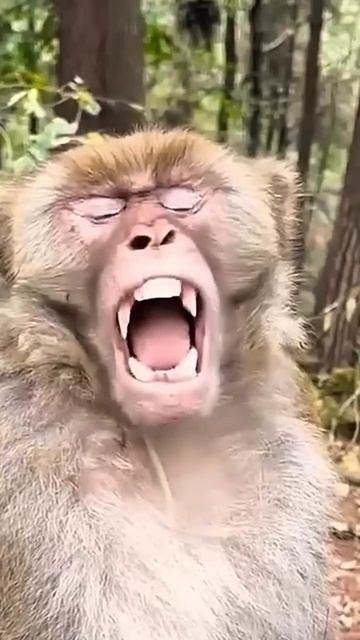 Порадуй жену 😂😍 смотреть онлайн