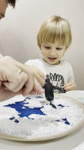 РАСКОЛ ЛЬДА