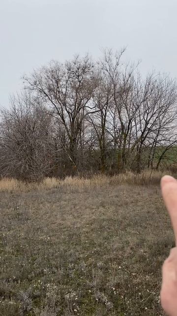 Точный выстрел по зайцу. Где искать зайца осенью? смотреть онлайн