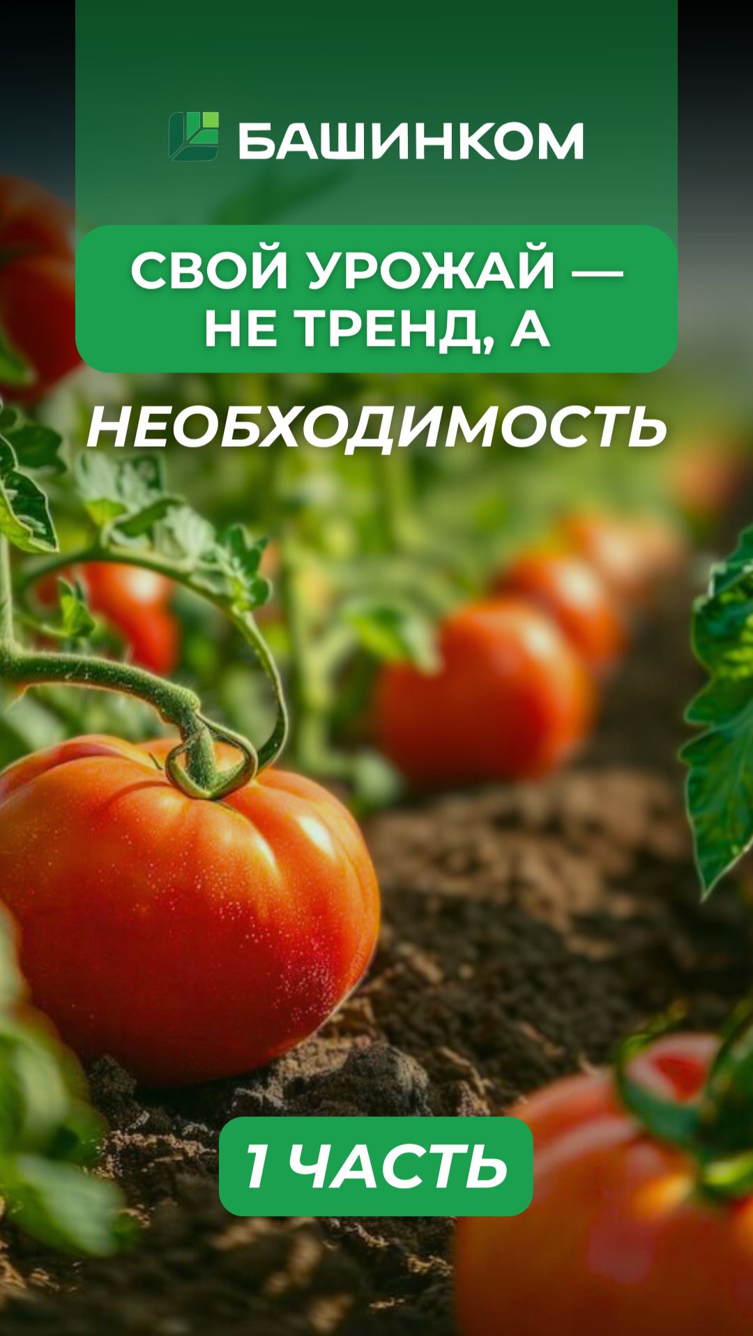 Не тренд а необходимость.Часть 1 смотреть онлайн