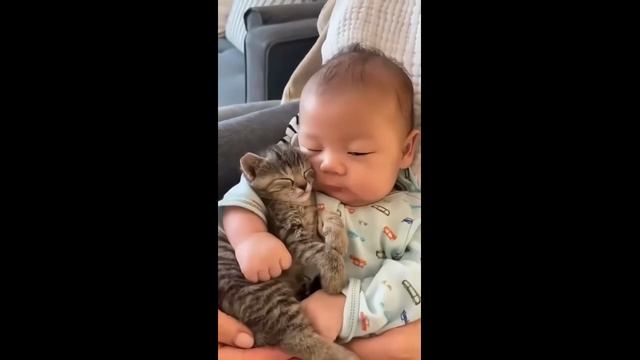 Спасение котенка - 2025 год смотреть онлайн