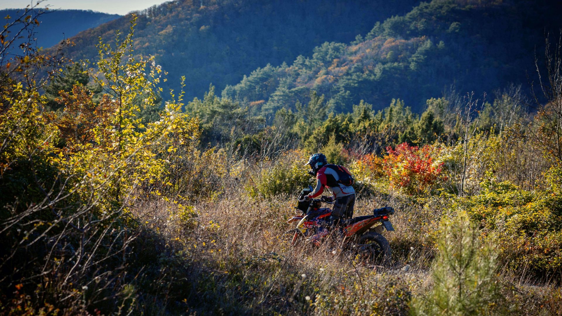 ADVENTURE RALLY GELENDZHIK. 25г
