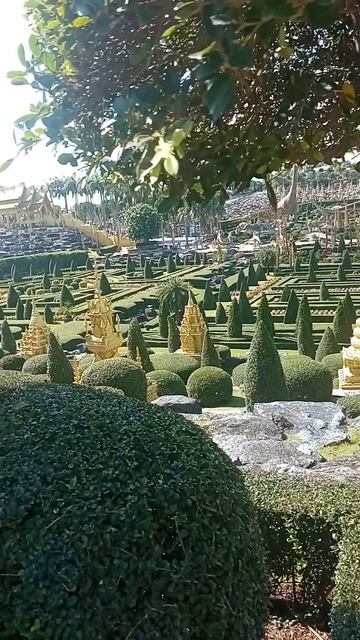 Тропики дышат. А мы — слушаем Что скрывает Nong Nooch? смотреть онлайн