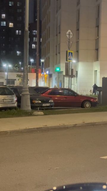 Мусор или дорожная краса? смотреть онлайн