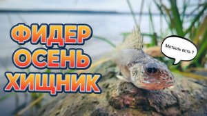 ФИДЕР, ОСЕНЬ - Время хищника, а клюёт ОН