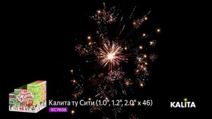 KC7606 - Калита ту Сити (1.0, 1.2, 2.0 х 46) тел 89600356666