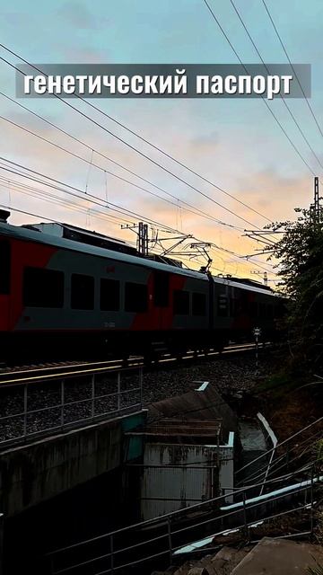Генетический паспорт-документ на всю жизнь