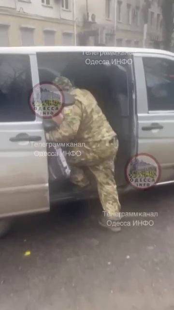 овца устроила газовую атаку на свиней из тцк но им понравилось.Свиньи же.Таким их не возьмешь смотреть онлайн