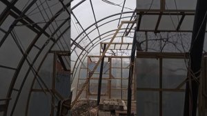 теплица 5 декабря #теплица #дача #садоводничество #огород #уходзатеплицей #зима #урожай