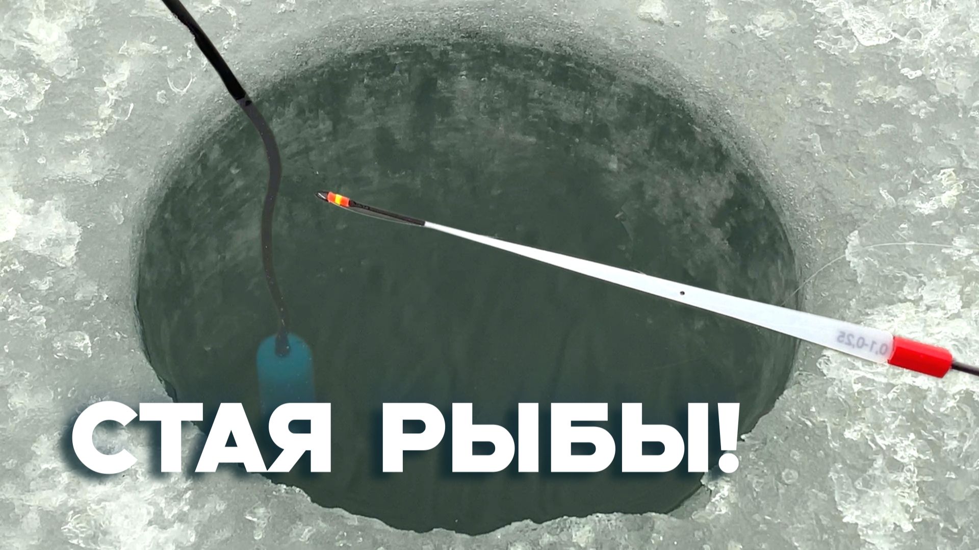 НАШЁЛ СТЕНУ РЫБЫ...КРУПНЯК и ХИЩНИК ПРЁТ УДОЧКУ! Зимняя рыбалка 2025 смотреть онлайн