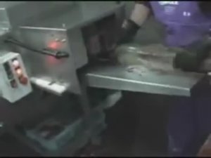 Потрошение лосось, семга 625R