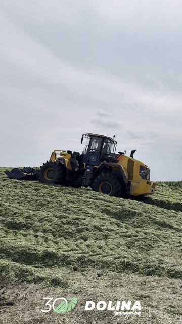 🌾 Уплотнитель силоса для фронтального погрузчика в работе