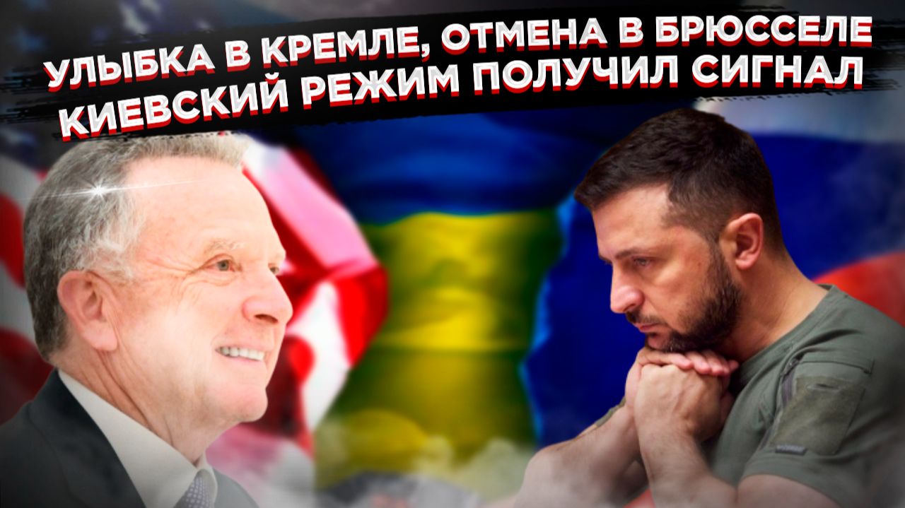 Европейский цирк: пока НАТО играет в превентивные удары, посланник Трампа улыбается в Кремле смотреть онлайн