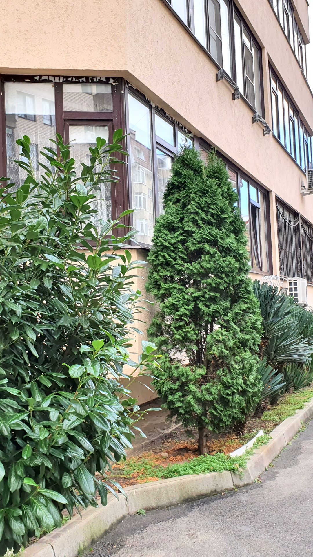 89883377726 Любовь Анапа Район Южного рынка до моря менее 1км смотреть онлайн