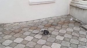 Замечательный отдых подошёл к концу//