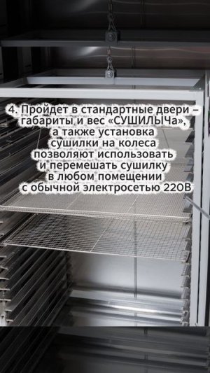 СУШИЛЫЧ СУШИЛЬНЫЙ ШКАФ