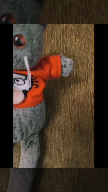 котики муркотики