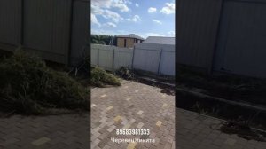Подготовка земли под газон, избавляемся от бузины