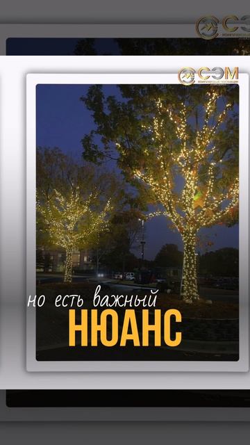 Сейчас украшать деревья новогодней иллюминацией – настоящий хит! 🌲🤩