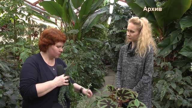 2025_12_04_Во саду и в огороде_юбилейная смотреть онлайн