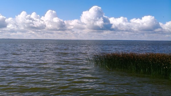 Ласковое Лето на Куршской косе