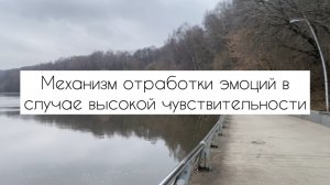 Растворить негативные эмоции в свете сердца. Как работать с астральным (эмоциональным) тонким телом.