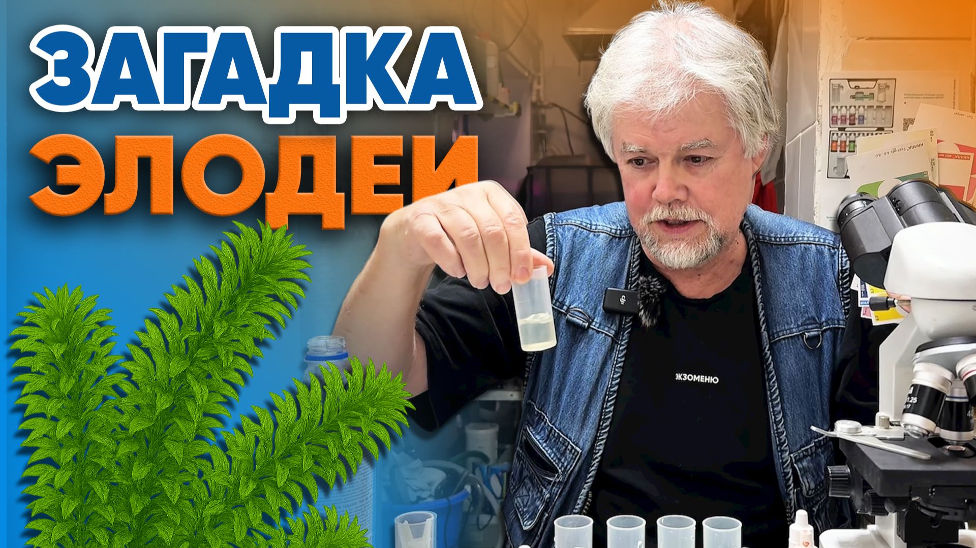 Аквариумные истории из ЭКЗОМЕНЮ (05.12.2025). Загадка элодеи. смотреть онлайн