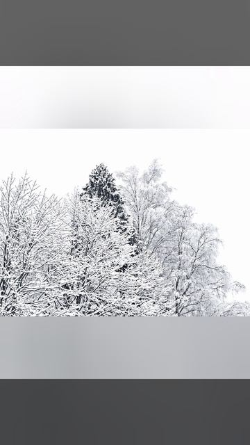 Сергей Калугин Снег пошёл