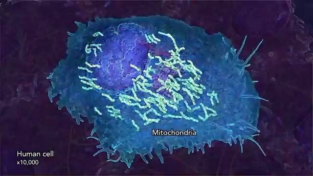 🧬 ДНК - ПРОДУКТ ИНЖЕНЕРИИ 🧬 смотреть онлайн