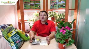 Комнатное цветоводство. Часть 1.