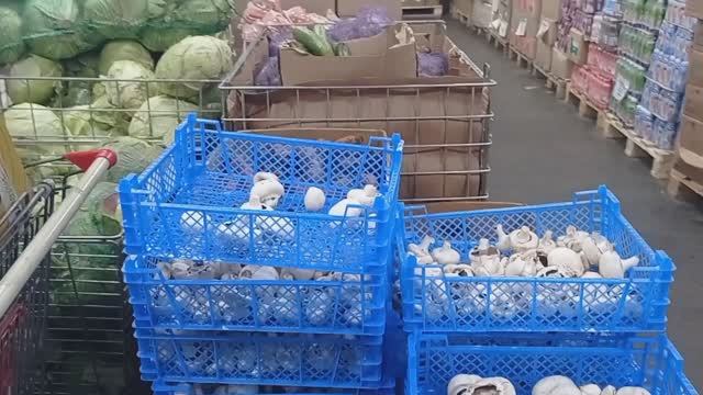 Закупаем в Светофоре _ На чëм реально Сэкономить в этом магазине ✅Обзор смотреть онлайн