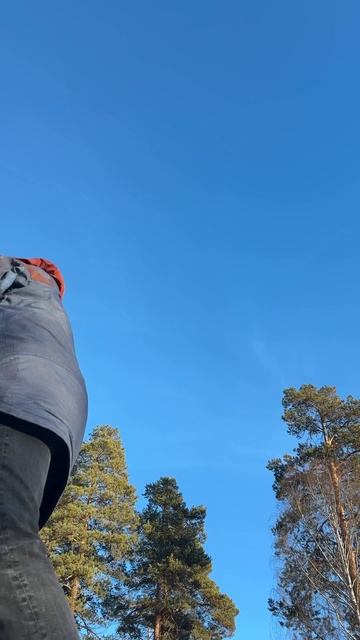 Зимняя эпопея: как сделать прорубь, не утопив бензопилу и рассудок смотреть онлайн