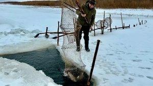Рыбалка на фитили на севере. Улов нас порадовал! Ответы на вопросы зрителей.