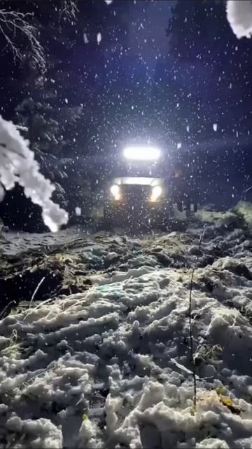 жынгл бэлс смотреть онлайн