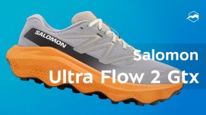 Кроссовки мужские Salomon Ultra Flow 2 Gtx