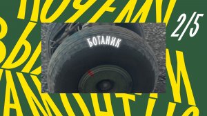 Почему вымерли мамонты? Вторая серия