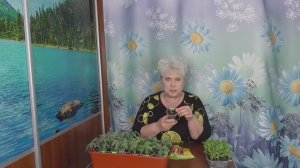 Самый простой посев сладкого перца - ПОСАДИЛ И ЗАБЫЛ! Без пикировки с возможной подсыпкой грунта.