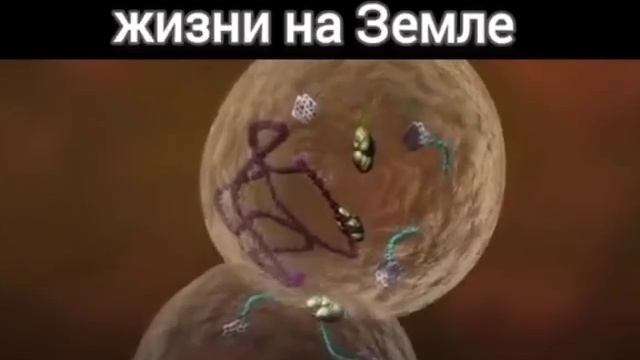 05-12-2025 Теория Происхождения Жизни