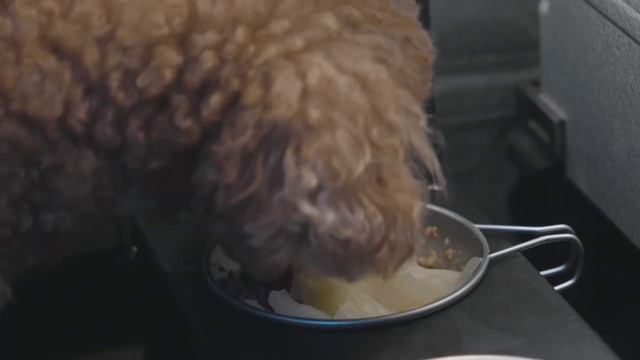  смотреть онлайн