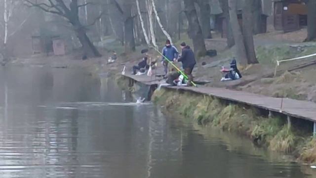 Основной водоем смотреть онлайн