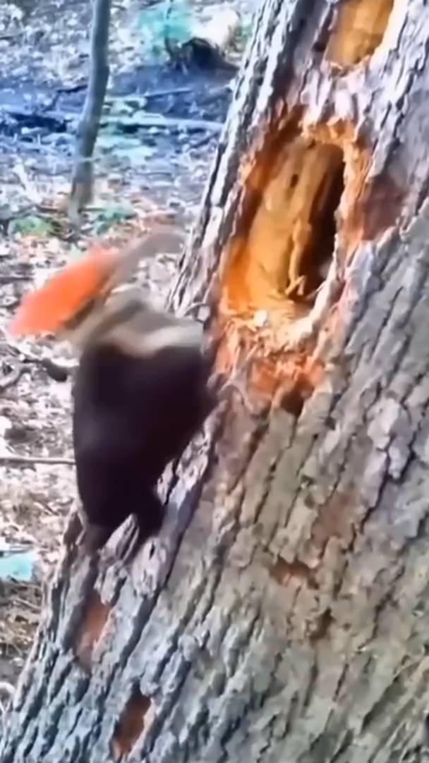 Ща постучу смотреть онлайн