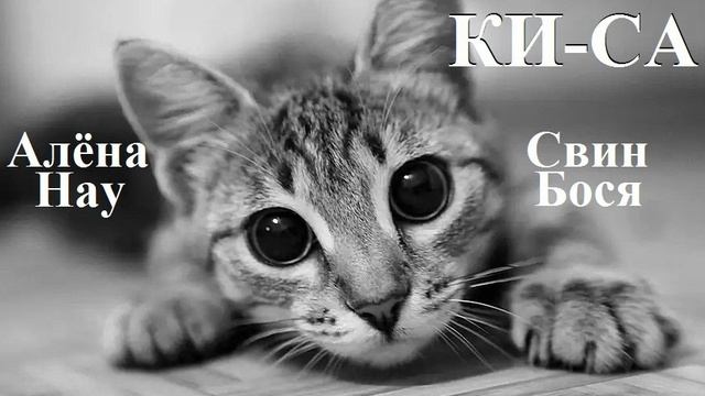 Свин Бося . КИ-СА смотреть онлайн